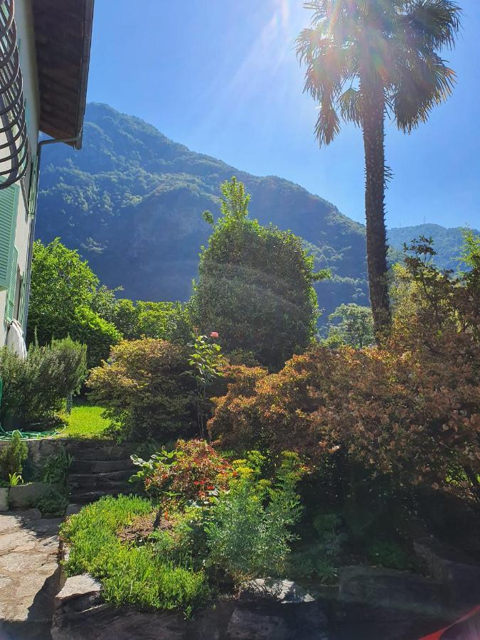 Ferienwohnung La Pergola Avegno Exterior foto